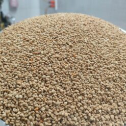 [Nhi VTO] Phấn hoa cafe phân loại 1Kg