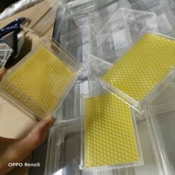 [Nhi VTO] Combo 5 hộp nhựa làm bánh tổ mật ong 500g (4 phụ kiện - COMBO kèm sáp nền )