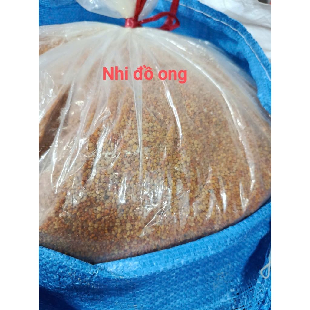 Phấn hoa cỏ kim - Ảnh 9